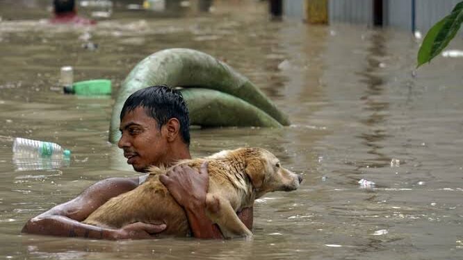 Delhi Rain
