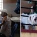 ಬೆಂಗಳೂರು | ಸಮೀಕ್ಷೆ ವೇಳೆ ಮತ್ತೆ ನಾಯಿ ಅಟ್ಯಾಕ್